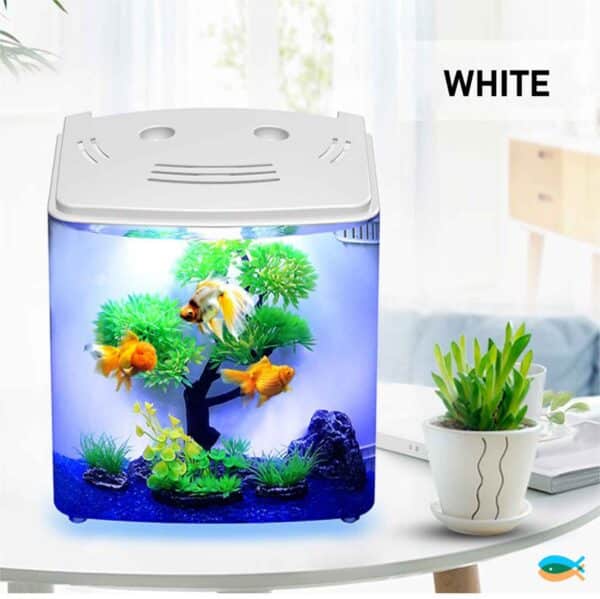 Mini-Aquarrium