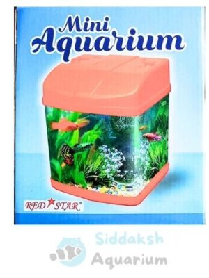 Mini Aquarium